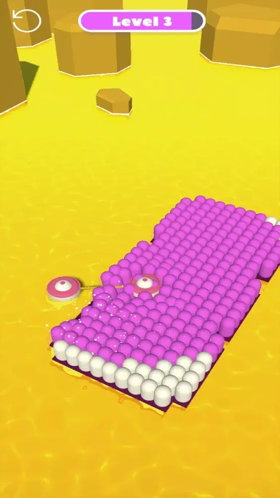 Paint Roller: Brush Roll應用截圖