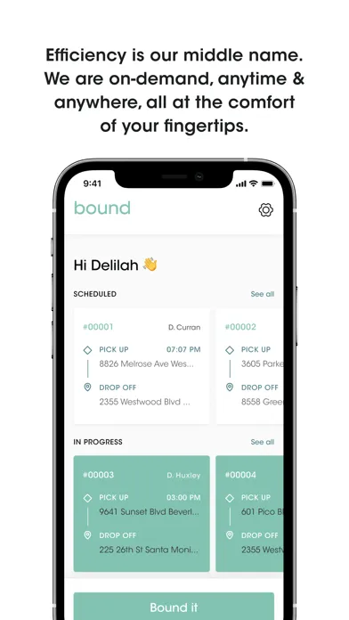 Bound - Delivery Screenshots