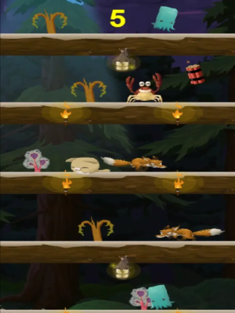صور Kitty Meow Meow adorable - Cat Jump Night iPad 