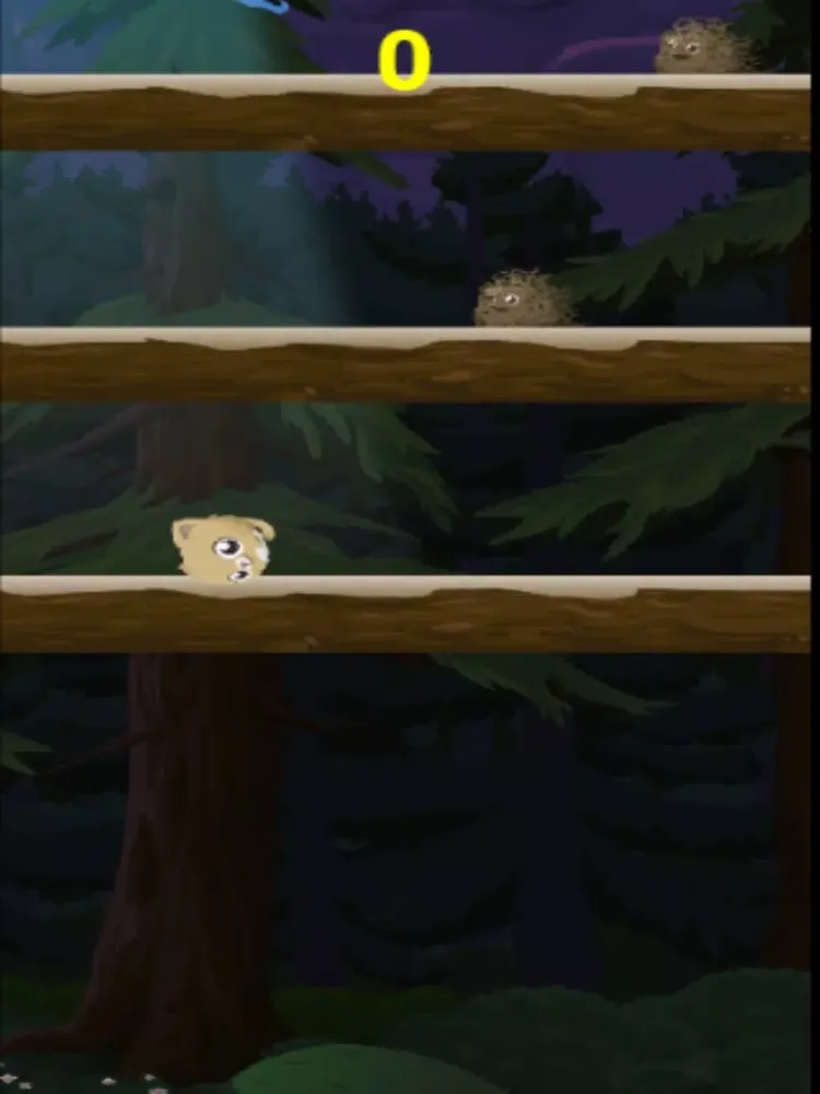 صور Kitty Meow Meow adorable - Cat Jump Night iPad 