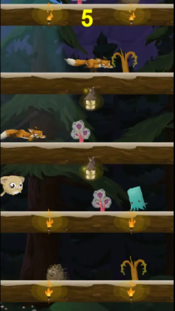 صور Kitty Meow Meow adorable - Cat Jump Night