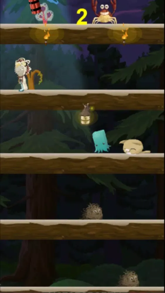 صور Kitty Meow Meow adorable - Cat Jump Night