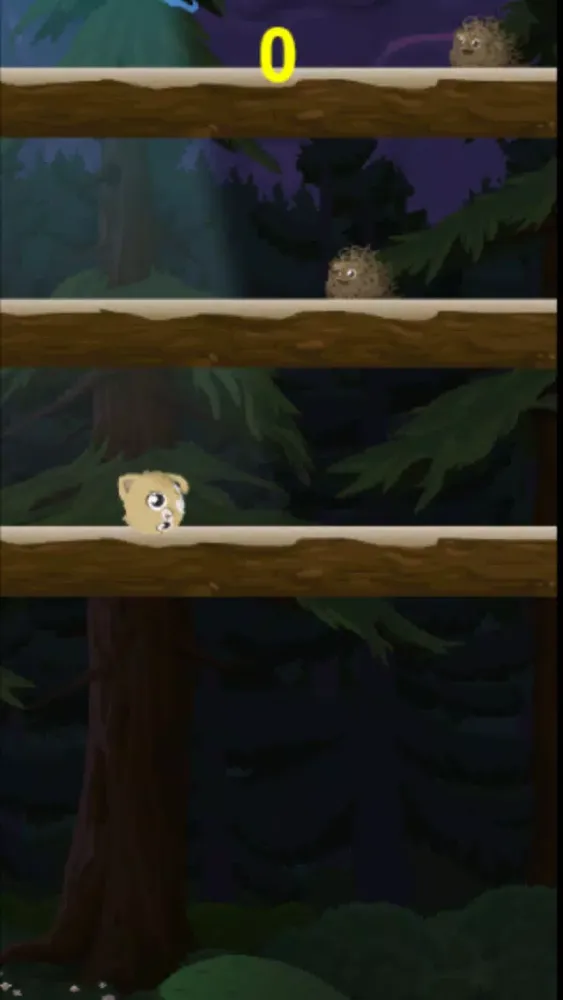 صور Kitty Meow Meow adorable - Cat Jump Night