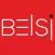 Дизайн проекты BELSI