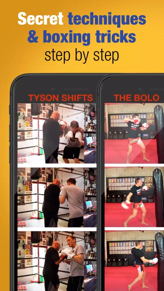 ภาพหน้าจอของ Learn boxing