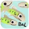 Run Salmon Run with Bobs & LoLo Run Salmon Run with Bobs & LoLo