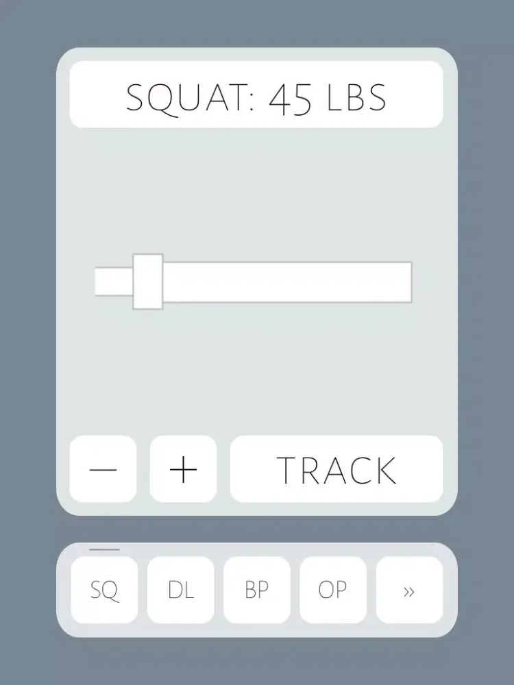 Simple Strength Tracker iPad  Screenshots