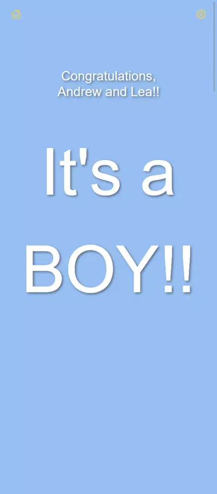 Скриншоты Boy or Girl
