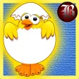 Poultry Farm Poultry Farm