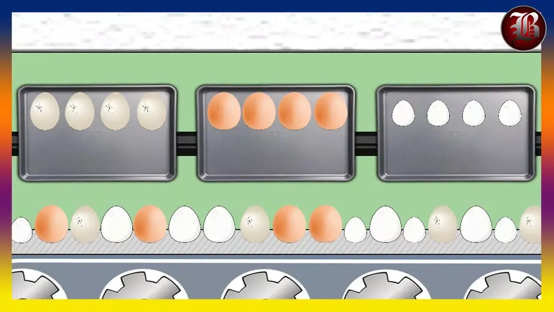 Poultry Farm سکرین شاٹس