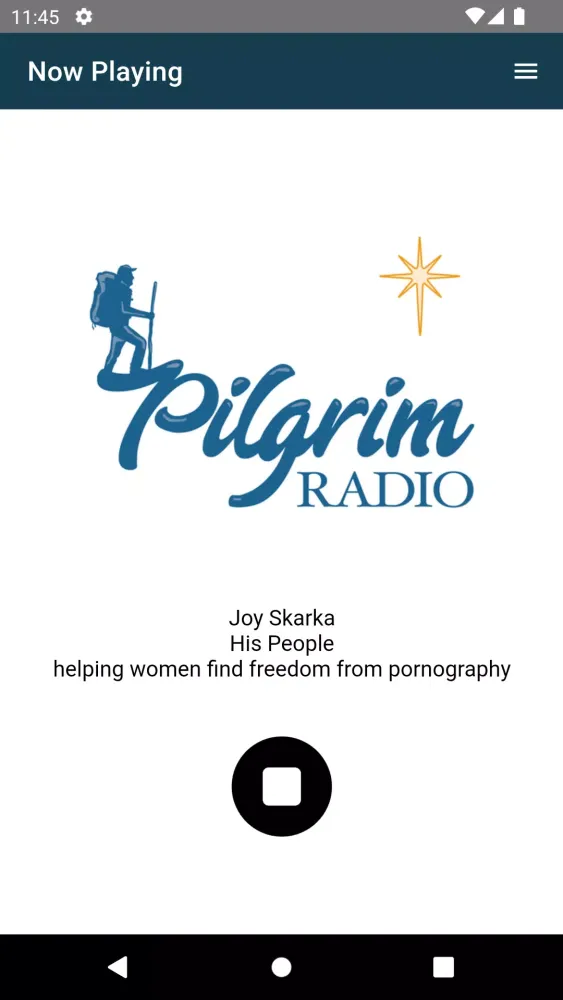Tangkapan layar Pilgrim