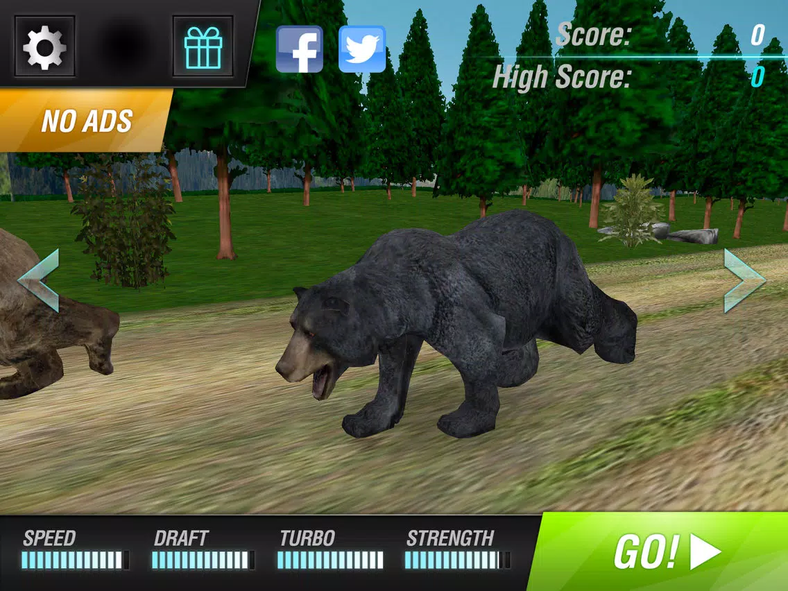 Bear Simulator 2016 . Wild Bears Simulation Games For Kids Free iPad 应用截图