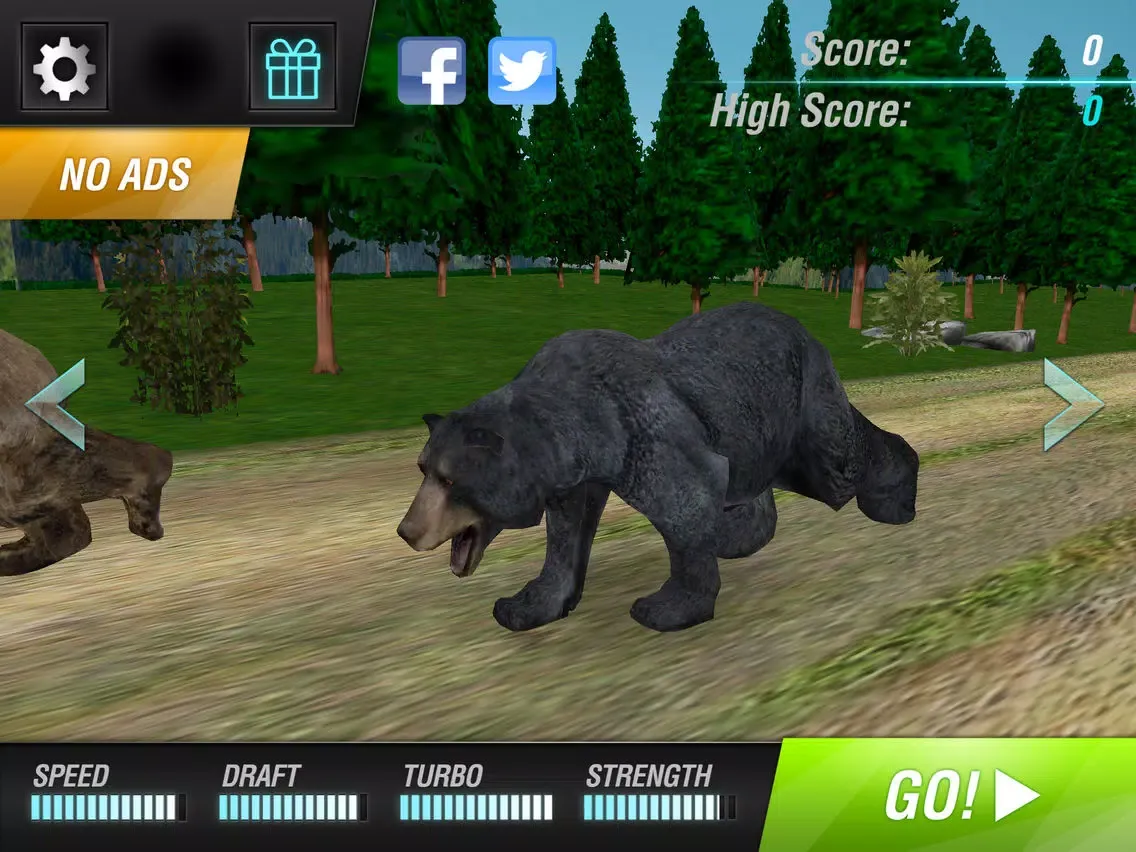 Bear Simulator 2016 . Wild Bears Simulation Games For Kids Free iPad  스크린샷