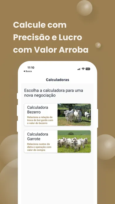 Capturas de tela do Valor Arroba
