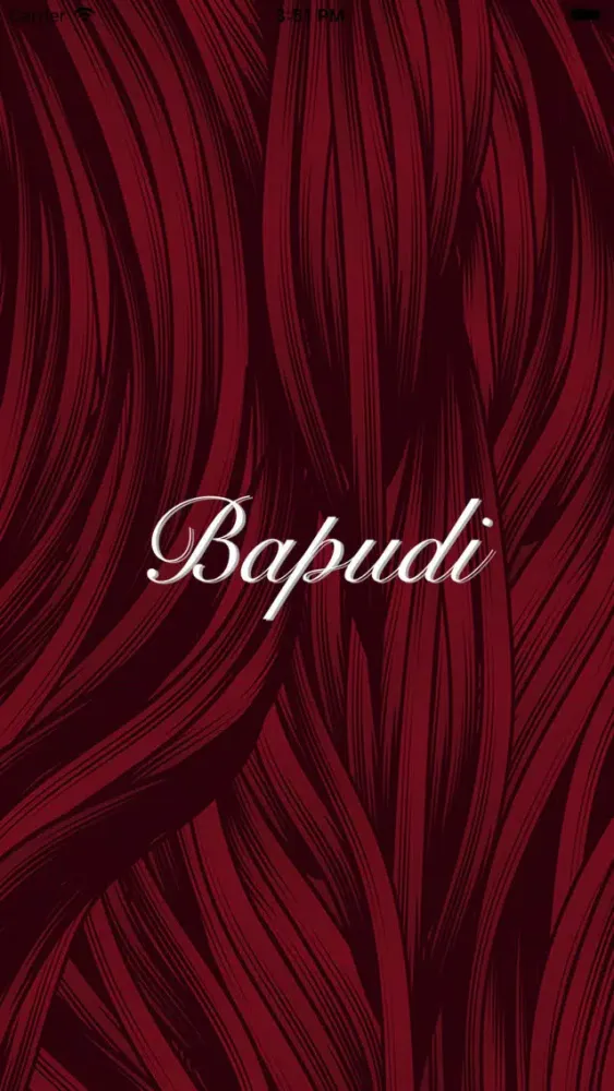Bapudi 스크린샷