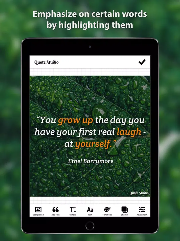 Quote Studio - Picture Quotes iPad  سکرین شاٹس