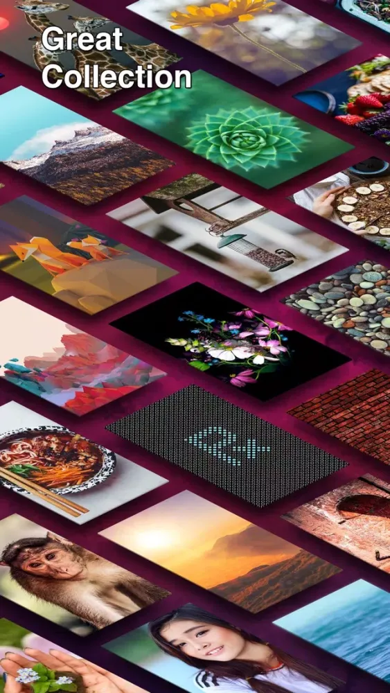 Capturas de tela do Wall - HD Wallpapers & Photos