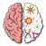 Brain Crazy