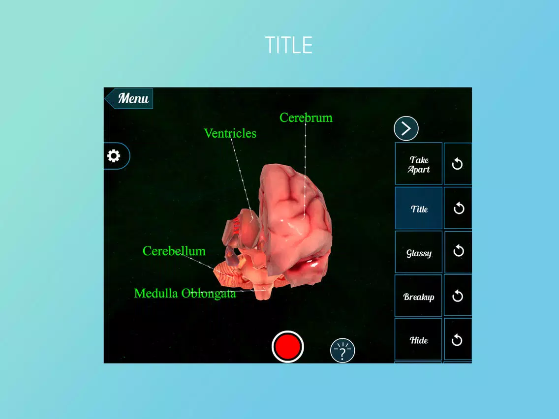 Virtual Reality (VR) Human Brain iPad 應用截圖