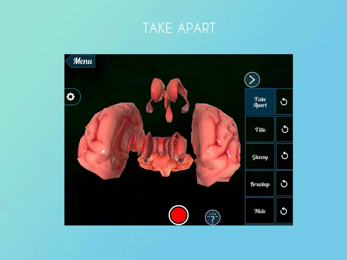 Tangkapan layar Virtual Reality (VR) Human Brain iPad 