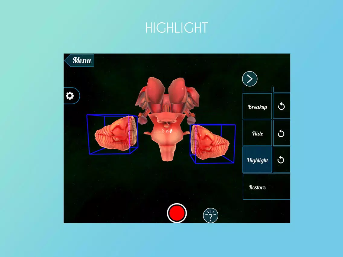 Virtual Reality (VR) Human Brain iPad 應用截圖