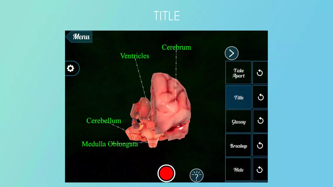 Virtual Reality (VR) Human Brain應用截圖