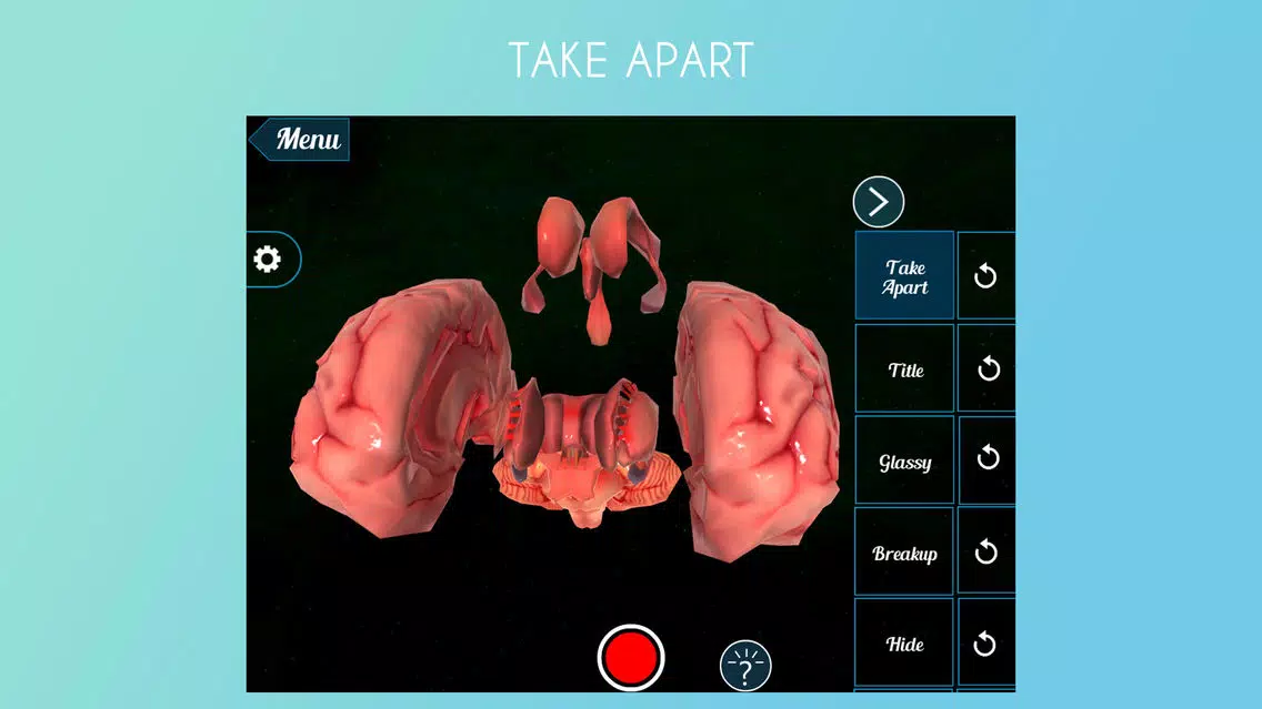 Virtual Reality (VR) Human Brain應用截圖