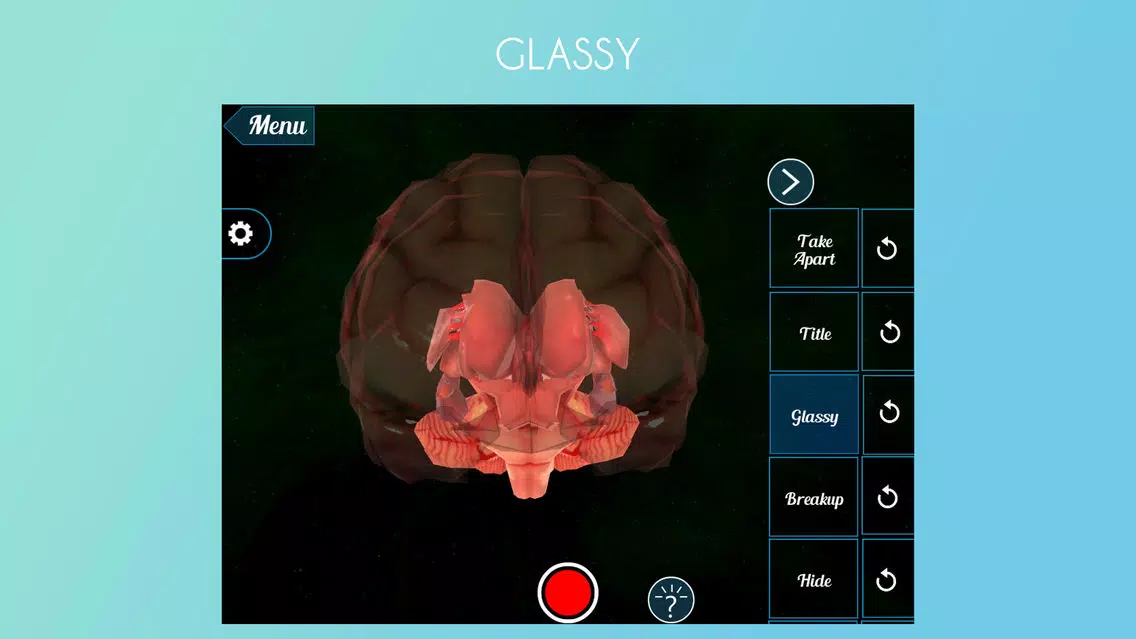 Virtual Reality (VR) Human Brain應用截圖
