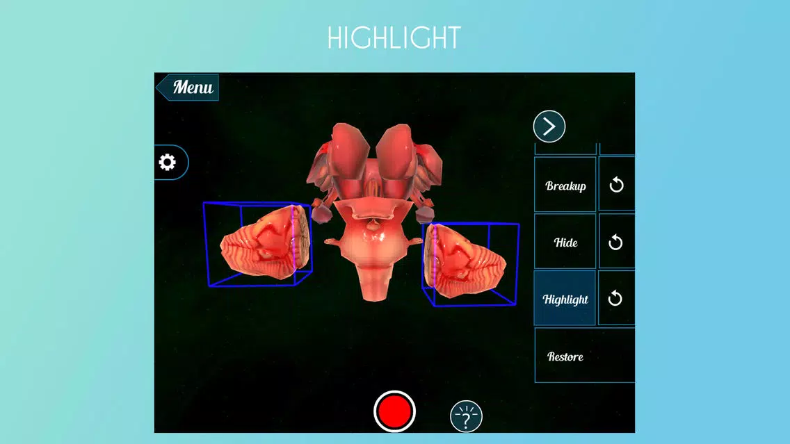Virtual Reality (VR) Human Brain應用截圖