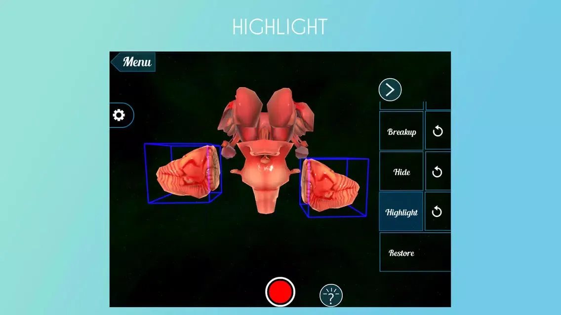 Tangkapan layar Virtual Reality (VR) Human Brain