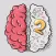 BrainSurfing2