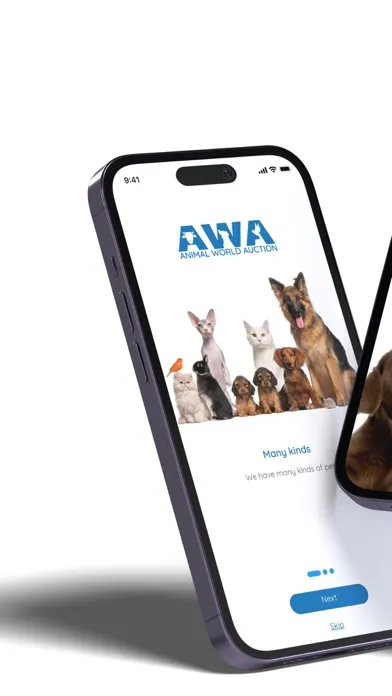 AWA Auction Ekran Görüntüleri