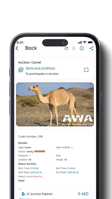 AWA Auction Ekran Görüntüleri