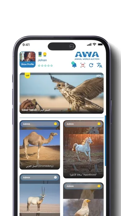 AWA Auction Ekran Görüntüleri