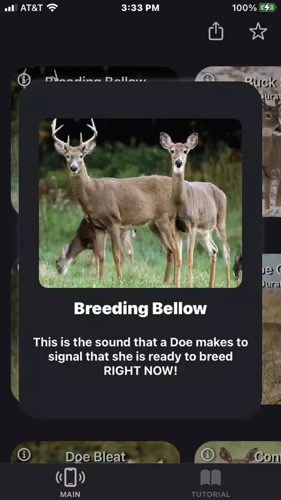 Deer Calls for Whitetail +應用截圖