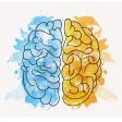 Brain Games - IQ Test
