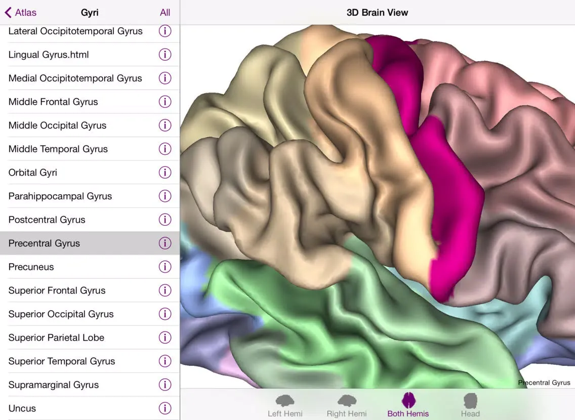 Brain Tutor HD iPad  স্ক্রিনশট