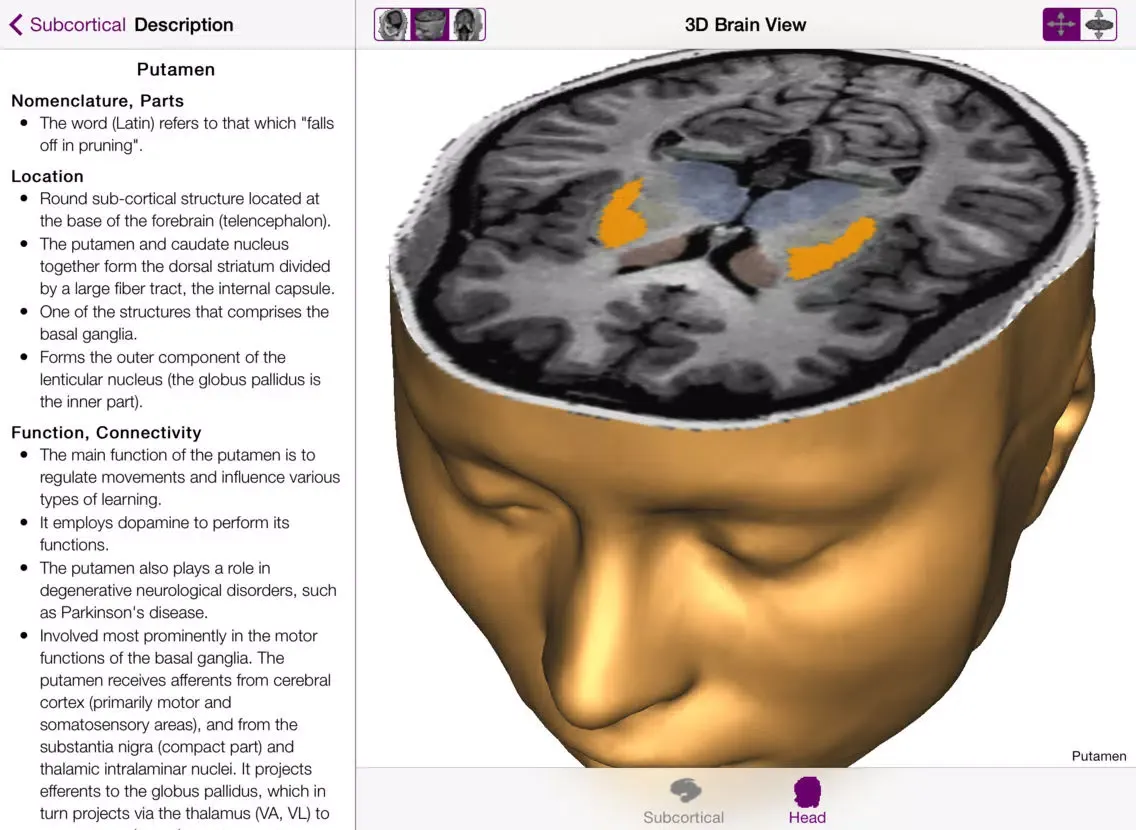 Brain Tutor HD iPad  স্ক্রিনশট