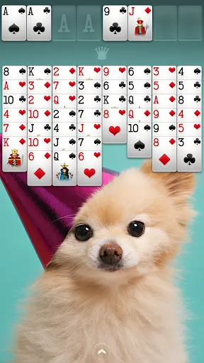 FreeCell Solitaire Screenshots