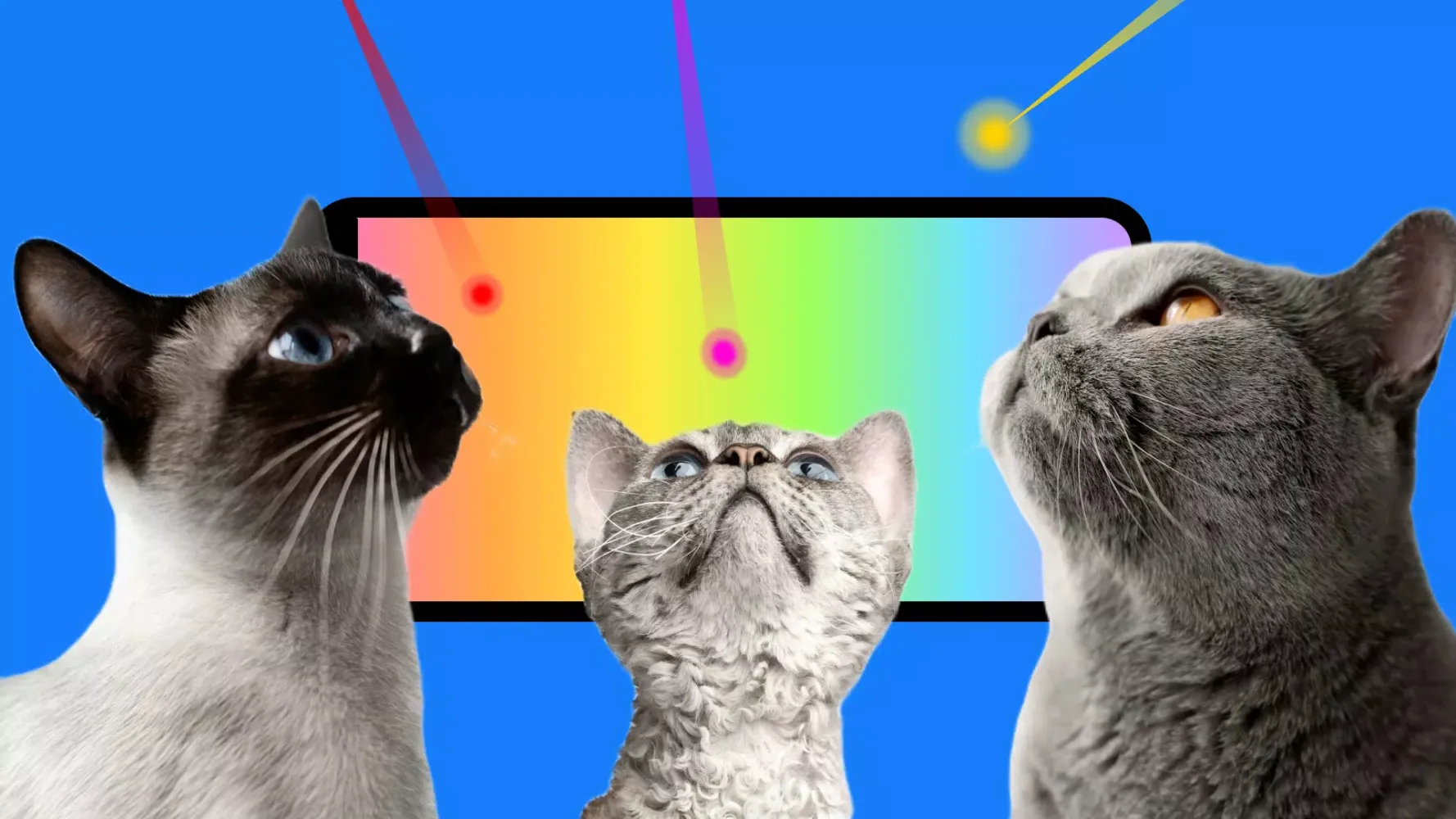 Capturas de pantalla de Cat Games