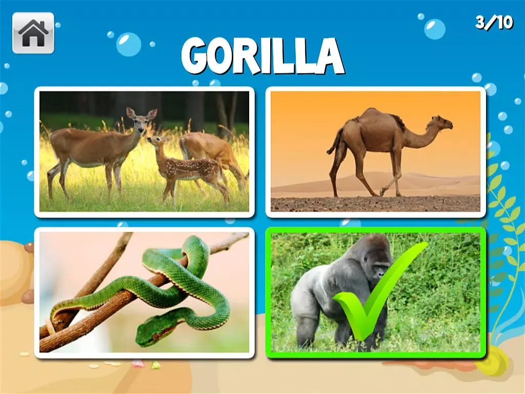 Learn-A-Licious Preschool iPad  Screenshots