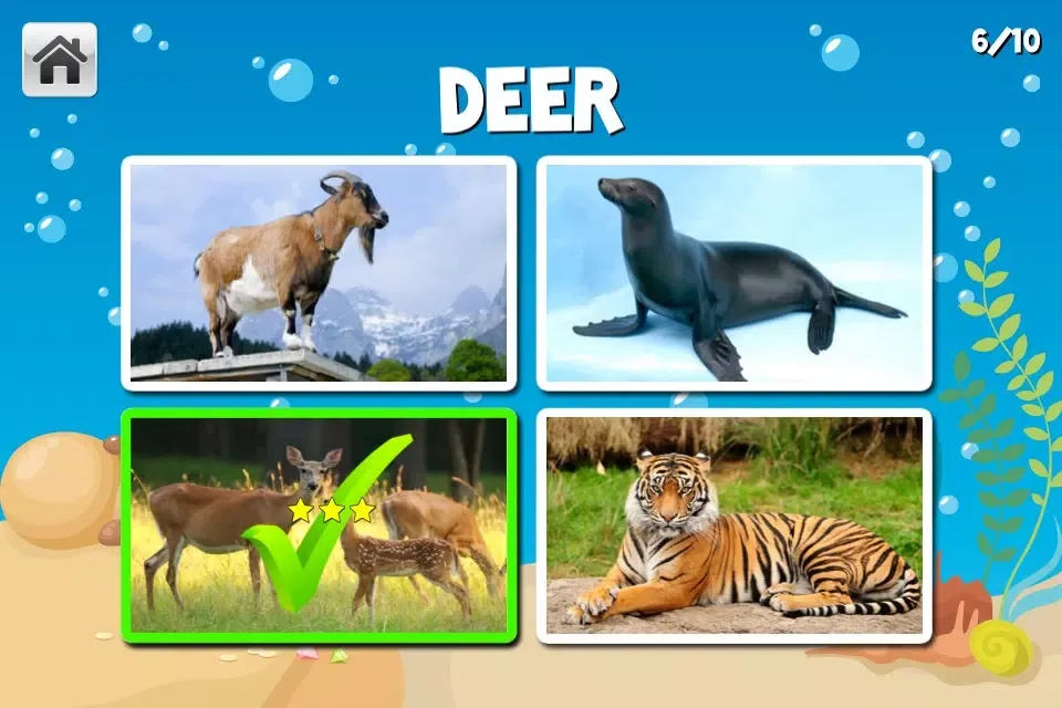 Learn-A-Licious Preschool Screenshots