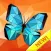 Butterfly Coloring Poly Art