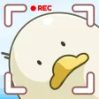 Nuts Island: Wood Screw Puzzle Nuts Island: Wood Screw Puzzle