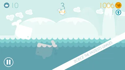 تصاویر Speedy Whales