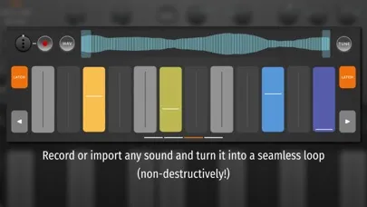 Salome - MPE Audio Sampler Screenshots