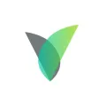 Brandify Discover Brandify Discover