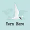 Tern Here – Social Travel Blog