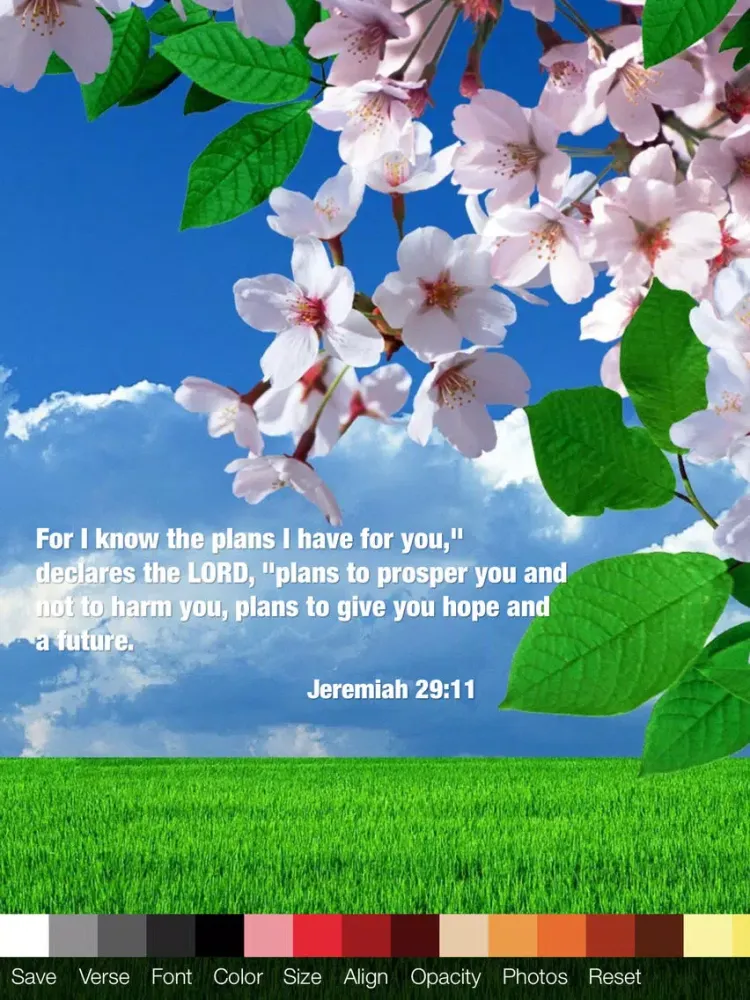 Script - Bible Verse Wallpaper Creator iPad  Screenshots