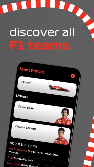 Screenshot di Road To F1 - reaction test